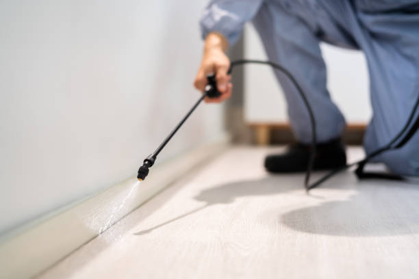 Licensed Termite Control service in Sandoval, IL - Nex Pest Control
