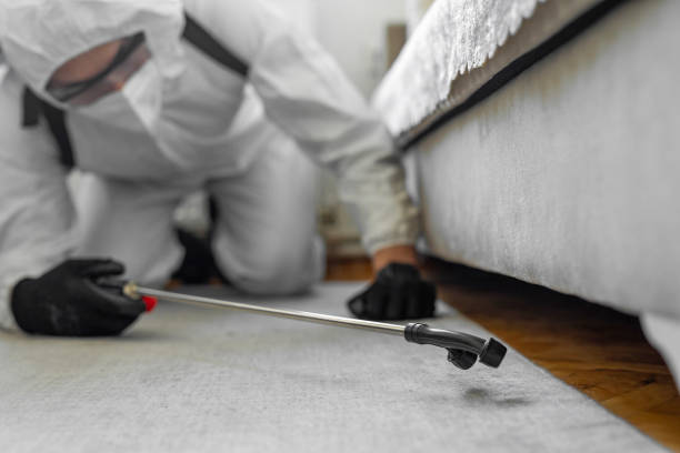 Professional Termite Control technician working in Sandoval, IL