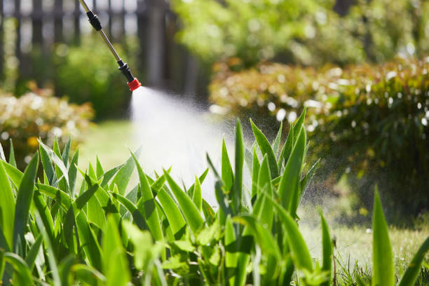 24/7 Emergency Termite Control experts in Sandoval, IL