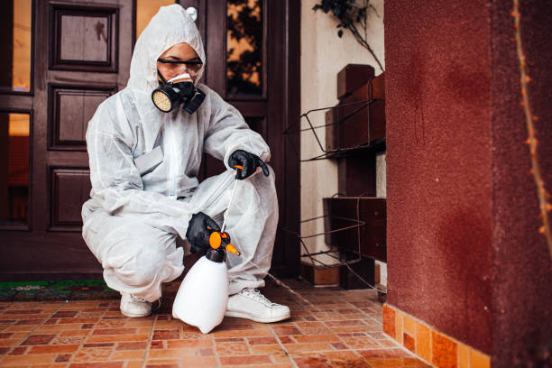 Reliable Termite Control contractor in Sandoval, IL by Nex Pest Control