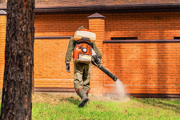 Top rated local Termite Control specialists in Sandoval, IL